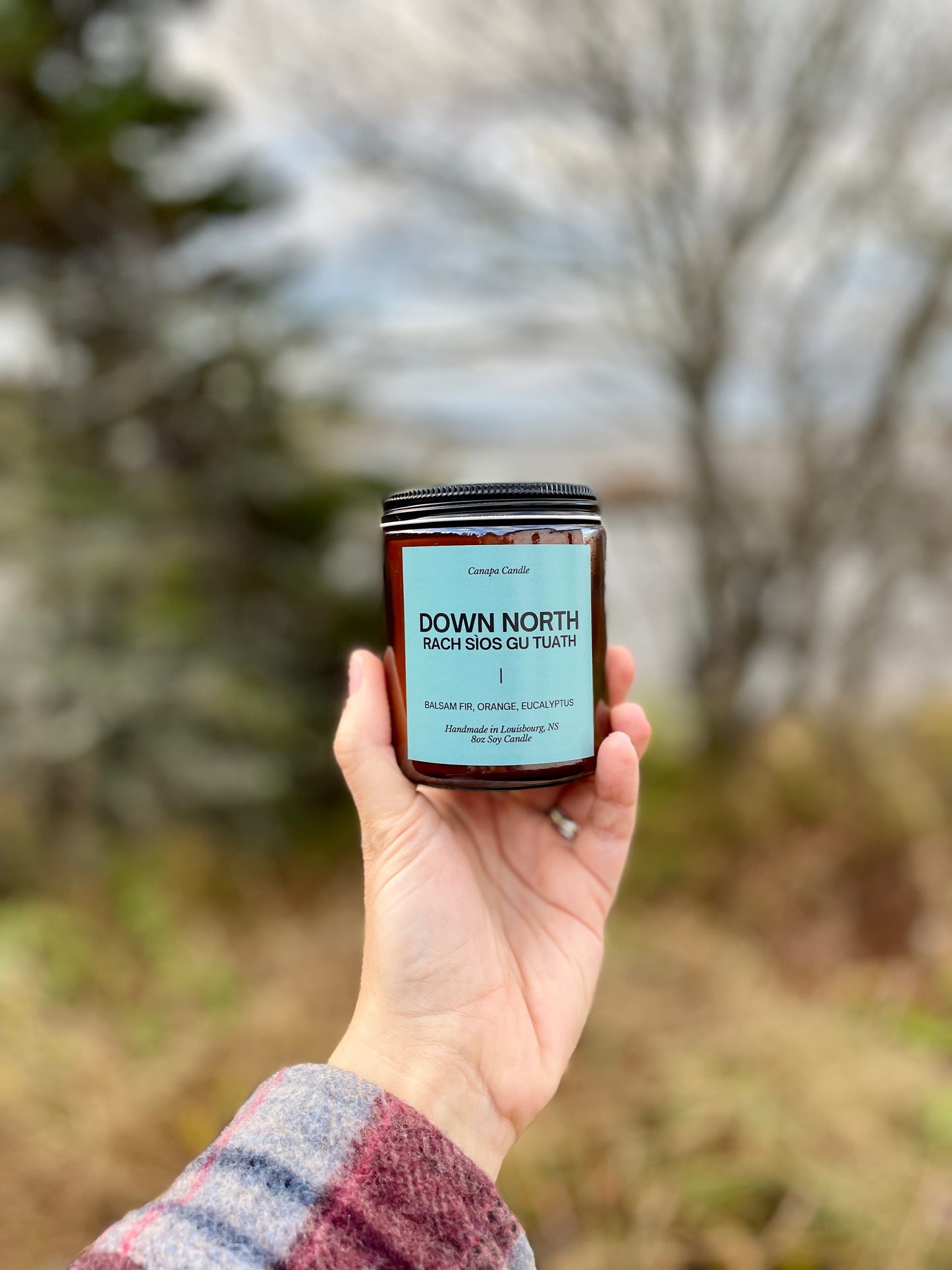 Down North Soy Candle- Balsam Fir, Orange Zest, Eucalyptus