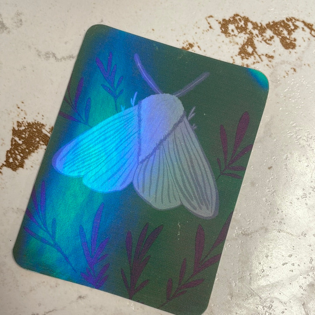Sticker - Frost and Fringe
