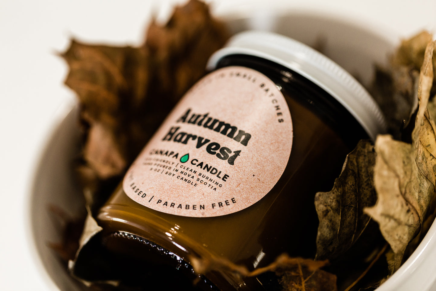 Autumn Harvest 9oz Soy Candle made in Canada by Canapa Candle in Louisbourg, Cape Breton Island, Nova Scotia - Vegan, Paraben and Phthalate free - Smells like: Cranberry, Tart Apple, Cinnamon, Clove, Sugar