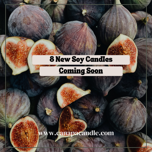 8 New Soy Candle Scents Coming Soon From Canapa Candle