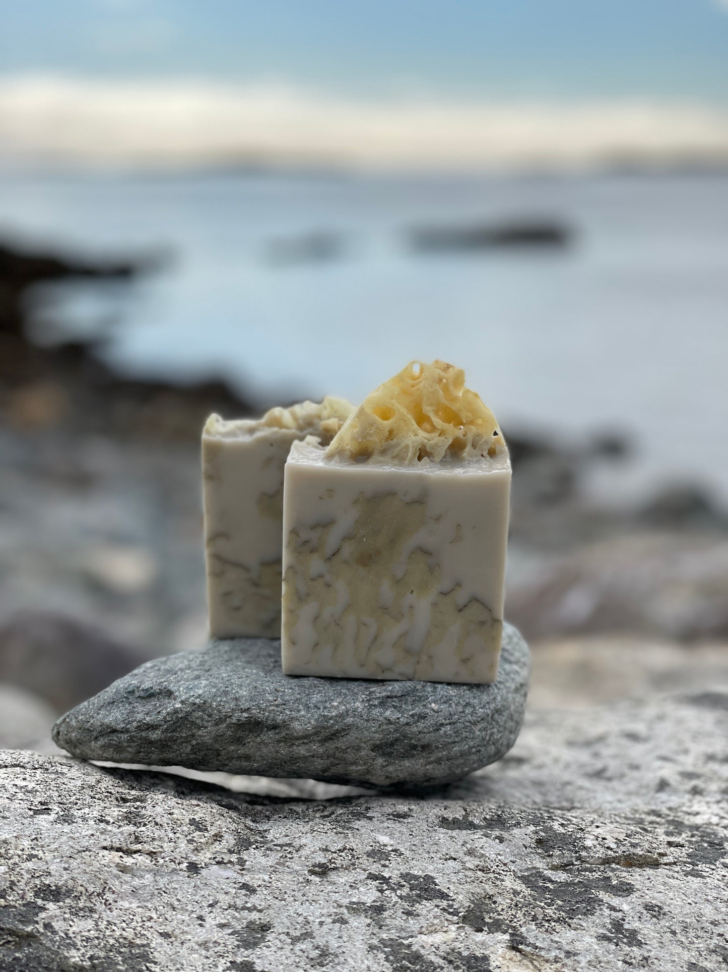 Tidal Bar ~ Sea Sponge Soap - PREORDER