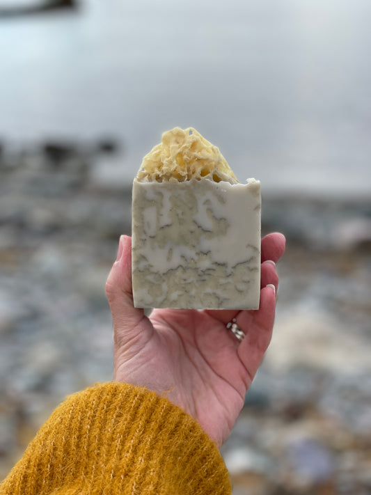 Tidal Bar ~ Sea Sponge Soap - PREORDER