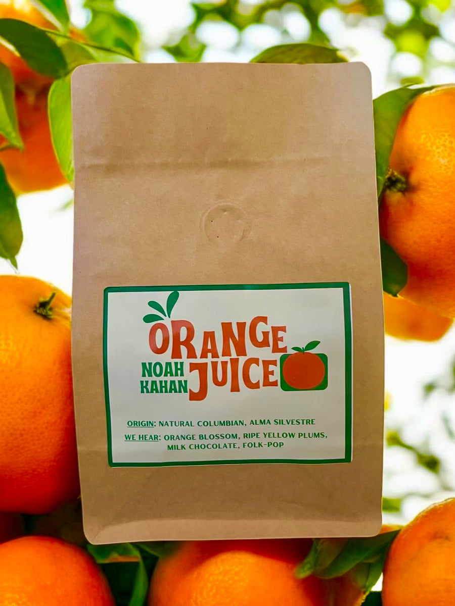 Orange Juice - Stick Season inspired coffee blend - From Village People Coffee Roasters