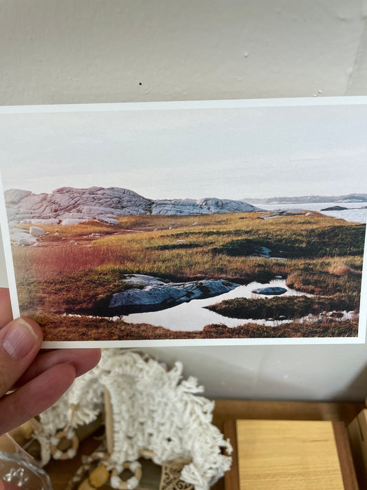 Prospect Cover Postcard