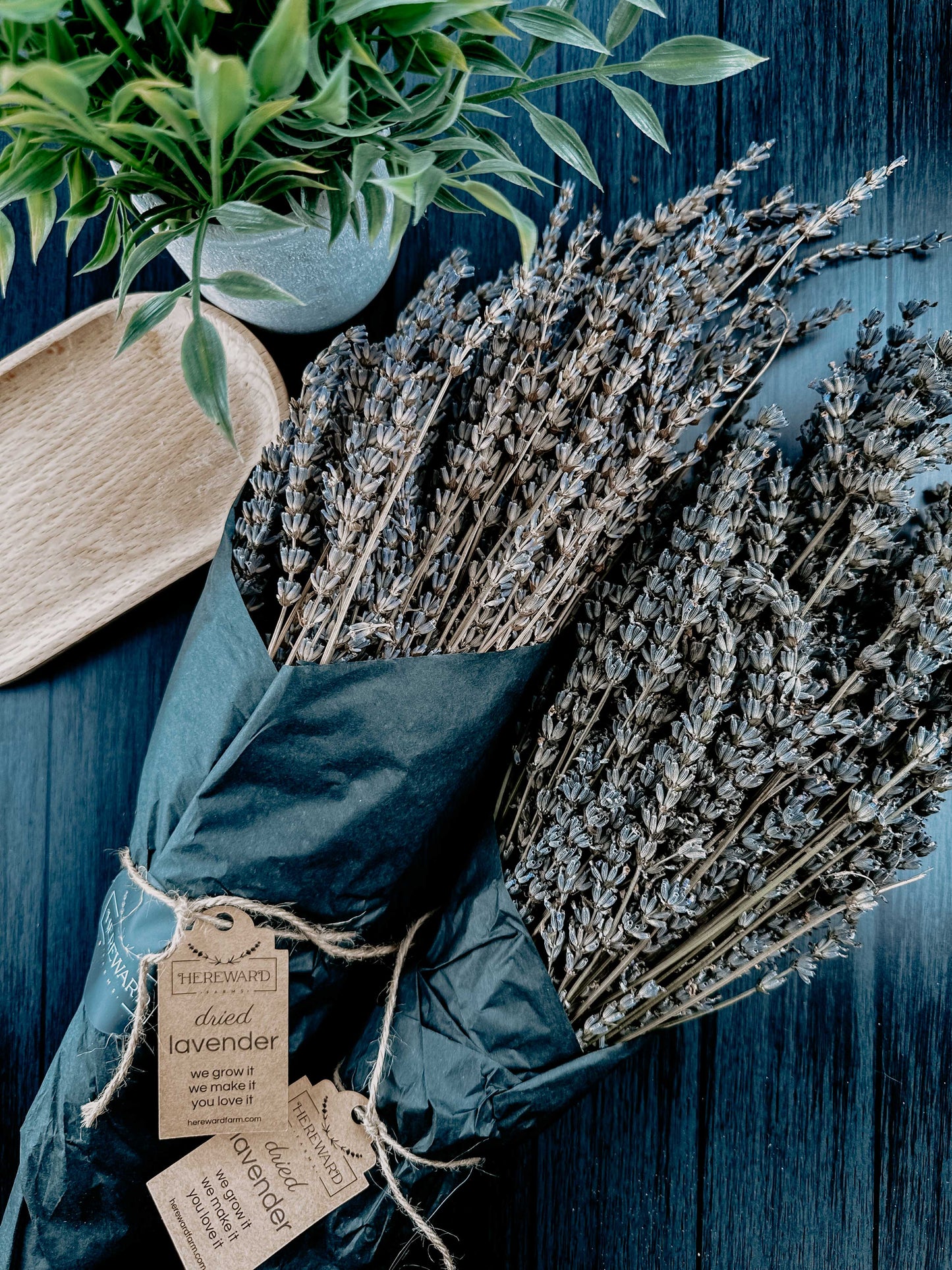 Dried French Lavender Bunches